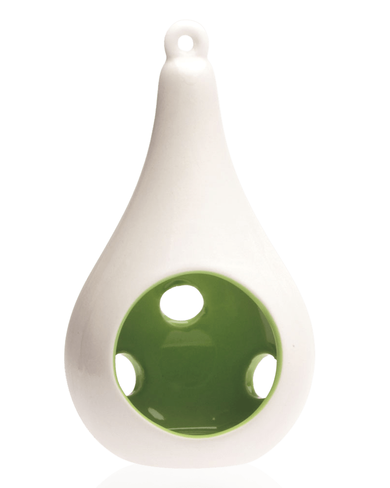 Pod Ceramic Hanging Air Plant Holder - Chive Ceramics Studio - Tools & Accessories - Chive Ceramics Studio