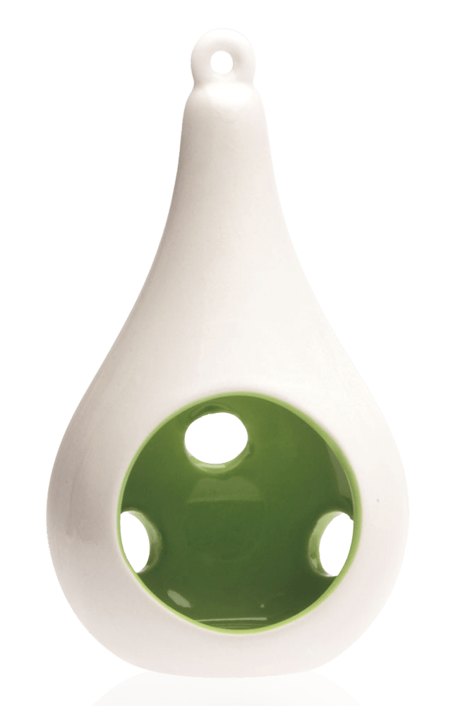 Pod Ceramic Hanging Air Plant Holder - Chive Ceramics Studio - Tools & Accessories - Chive Ceramics Studio