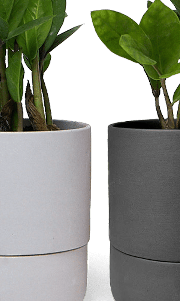 Ryan Self - Watering Plant Pots - Chive Ceramics Studio - Pots - Chive US