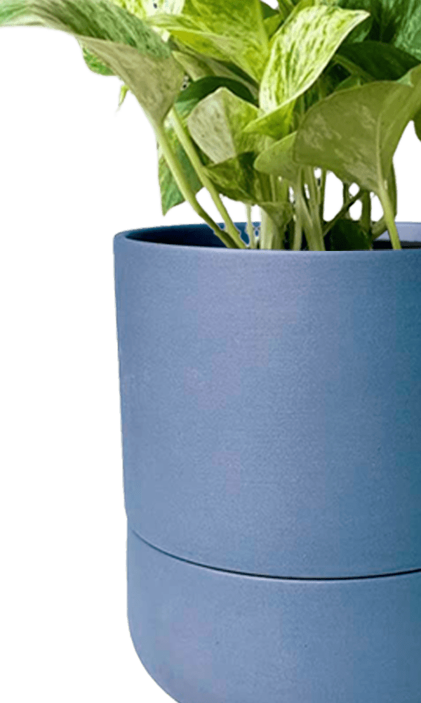 Ryan Self - Watering Plant Pots - Chive Ceramics Studio - Pots - Chive US