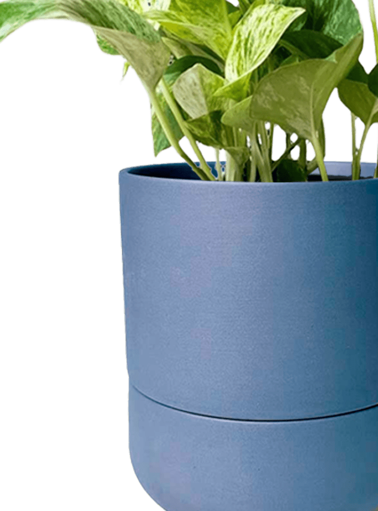 Ryan Self - Watering Plant Pots - Chive Ceramics Studio - Pots - Chive US