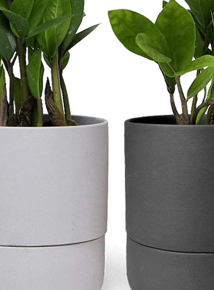 Ryan Self - Watering Plant Pots - Chive Ceramics Studio - Pots - Chive US