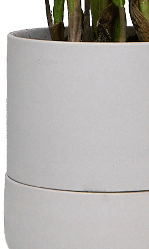 Ryan Self - Watering Plant Pots - Chive Ceramics Studio - Pots - Chive US