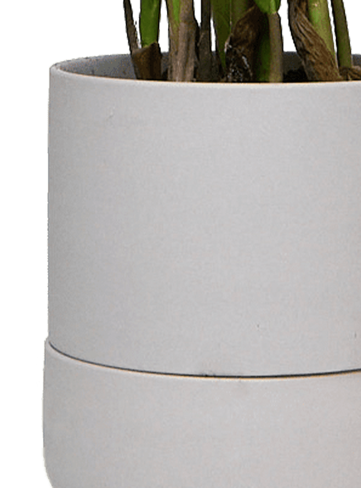 Ryan Self - Watering Plant Pots - Chive Ceramics Studio - Pots - Chive US