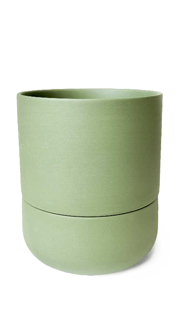 Ryan Self - Watering Plant Pots - Chive Ceramics Studio - Pots - Chive US