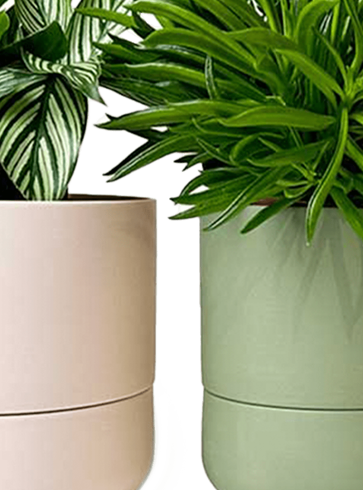 Ryan Self - Watering Plant Pots - Chive Ceramics Studio - Pots - Chive US