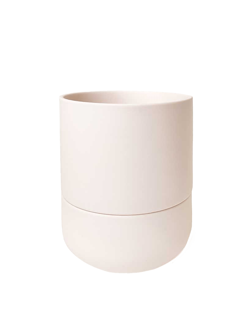 Ryan Self - Watering Plant Pots - Chive Ceramics Studio - Pots - Chive US