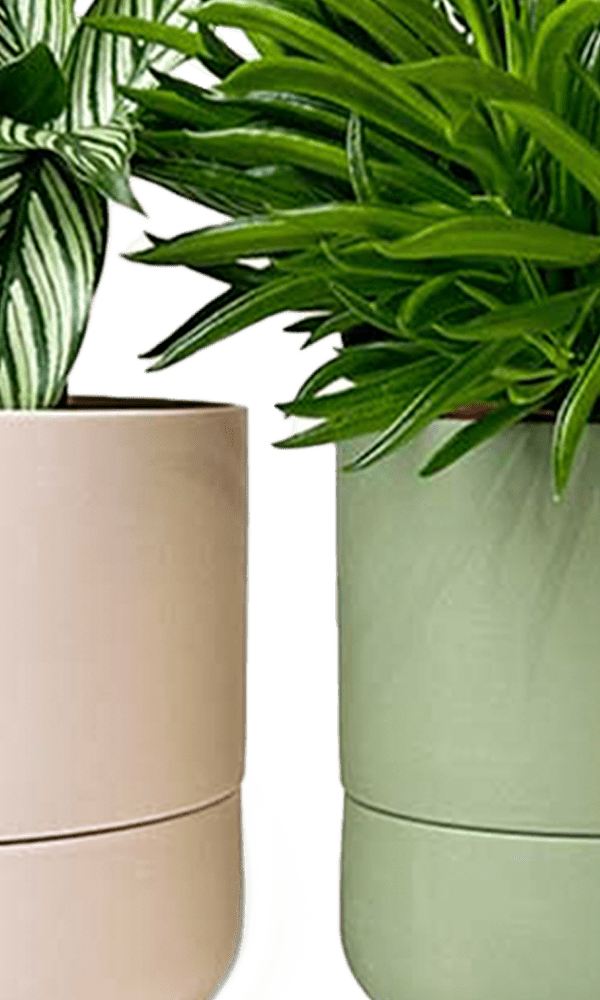 Ryan Self - Watering Plant Pots - Chive Ceramics Studio - Pots - Chive US