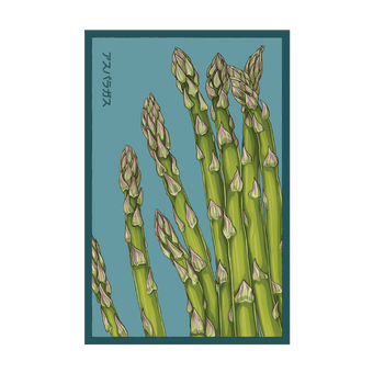 Asparagus Mary Washington seed packet - Shido Seeds non-GMO woodblock design