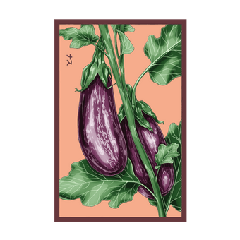 Aubergine Jewel Marble F1 seed packet - Shido Seeds non-GMO woodblock design