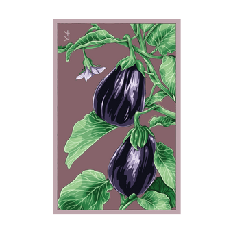 Black Beauty Eggplant seed packet - Shido Seeds non-GMO vacuum-sealed woodblock design