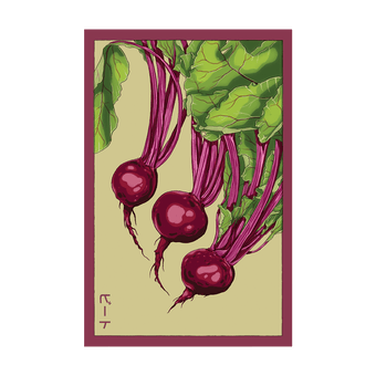 Beet seed packet - Shido Seeds non-GMO vacuum-sealed woodblock design