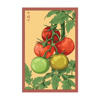 Beefsteak Tomato seed packet - Shido Seeds non-GMO vacuum-sealed woodblock design