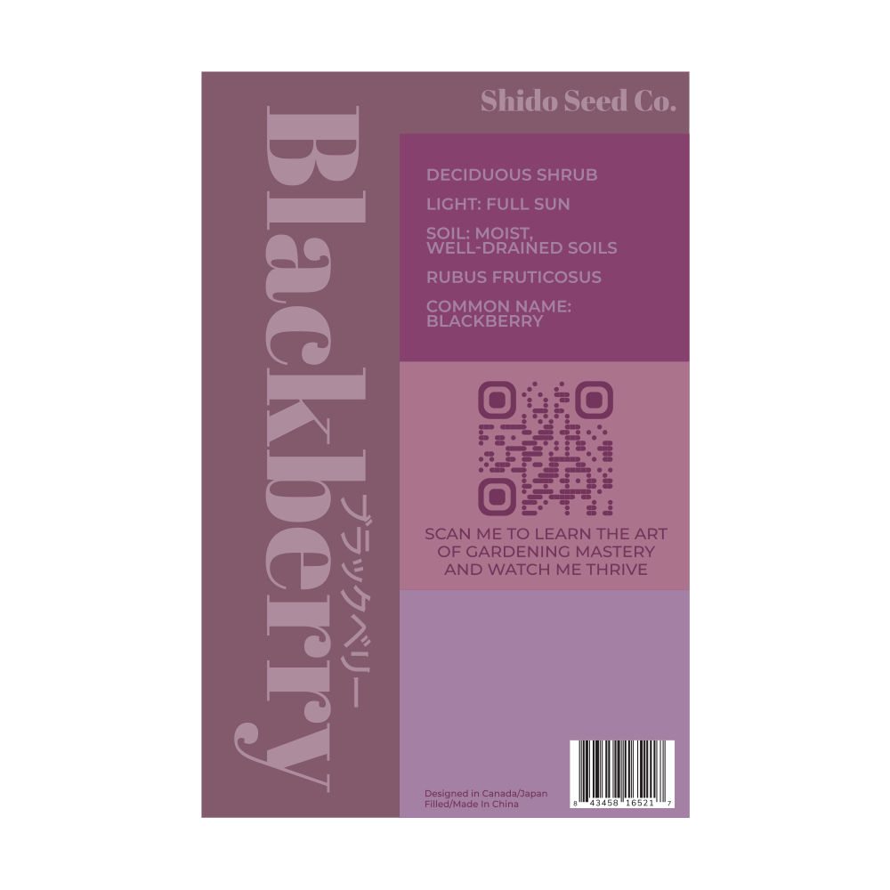 Blackberry Flower Seeds Packet - Chive Ceramics Studio - Seeds - Chive Ceramics Studio