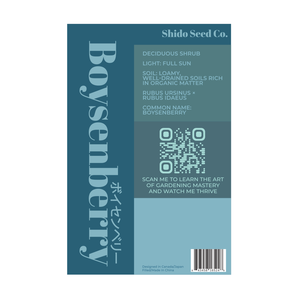 Boysenberry Flower Seeds Packet - Chive Ceramics Studio - Seeds - Chive Ceramics Studio