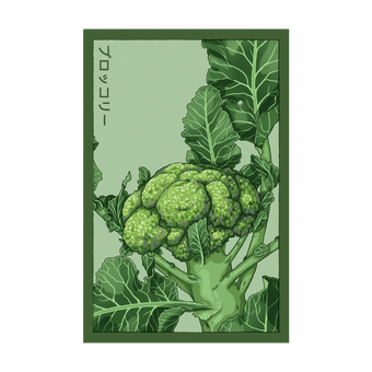 Broccoli seed packet - Shido Seeds non-GMO vacuum-sealed woodblock design