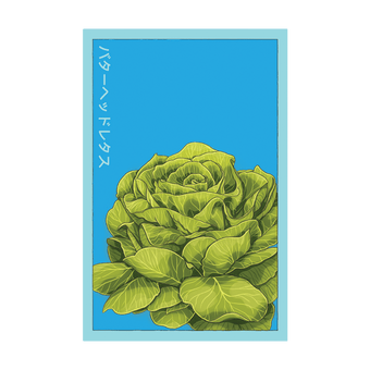 Butterhead Lettuce seed packet - Shido Seeds non-GMO vacuum-sealed woodblock design