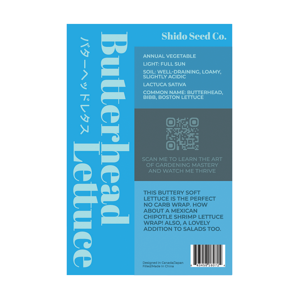 Butterhead Lettuce Vegetable Seeds Packet - Chive Ceramics Studio - Seeds - Chive Ceramics Studio