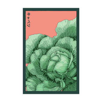 Cabbage seed packet - Shido Seeds non-GMO vacuum-sealed woodblock design