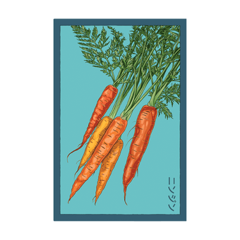 Carrot seed packet - Shido Seeds non-GMO vacuum-sealed woodblock design