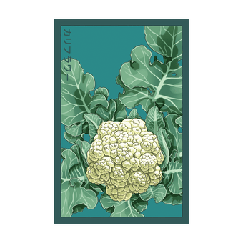 Cauliflower seed packet - Shido Seeds non-GMO vacuum-sealed woodblock design
