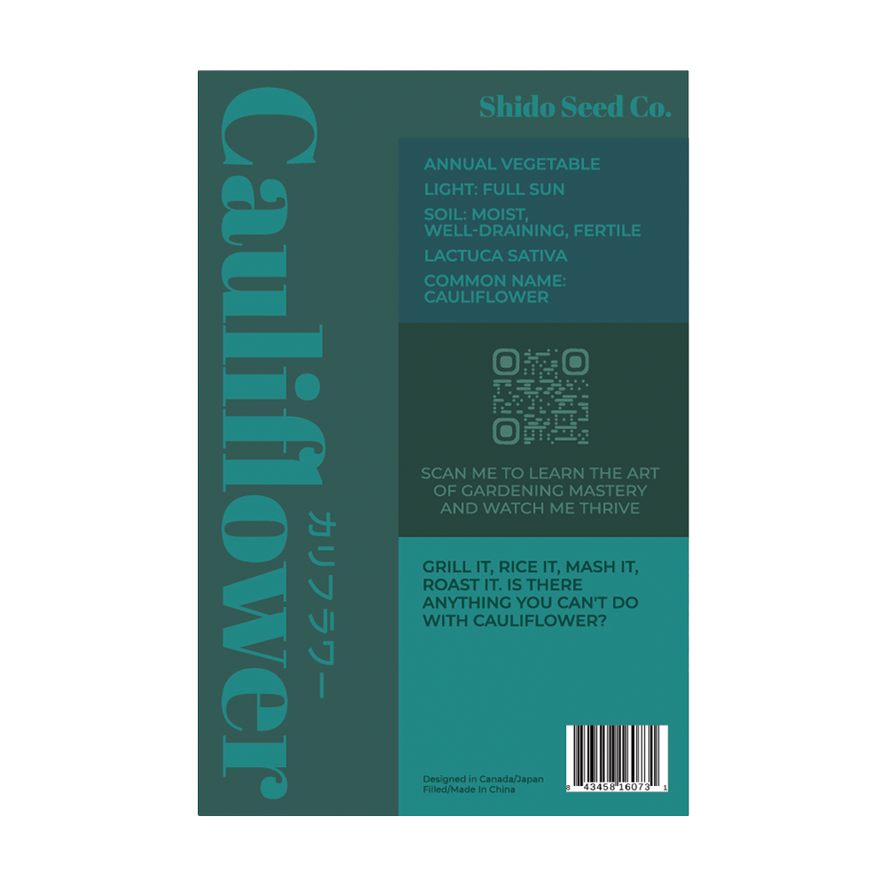 Cauliflower Vegetable Seeds Packet - Chive Ceramics Studio - Seeds - Chive Ceramics Studio