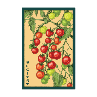 Cherry Tomato seed packet - Shido Seeds non-GMO vacuum-sealed woodblock design