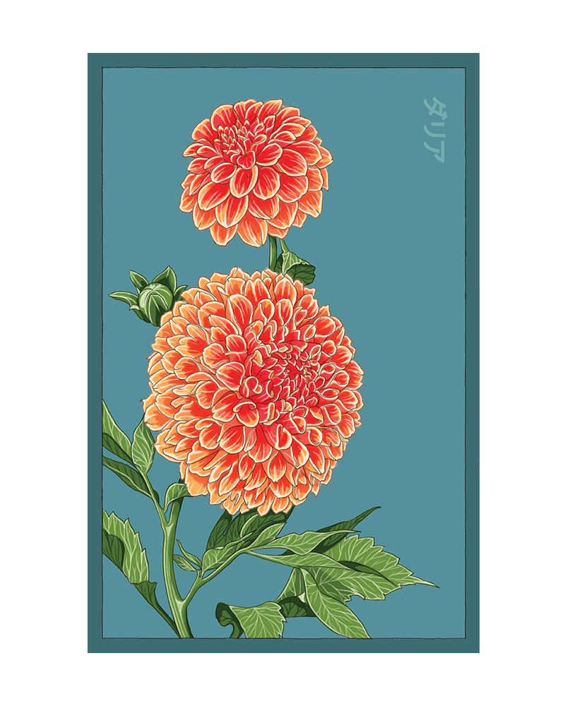 Dahlia Flower Seeds Packet - Chive Ceramics Studio - Seeds - Chive Ceramics Studio
