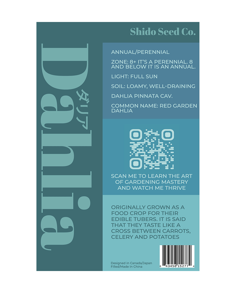 Dahlia Flower Seeds Packet - Chive Ceramics Studio - Seeds - Chive Ceramics Studio