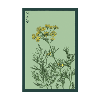 Dill Herb seed packet - Shido Seeds non-GMO vacuum-sealed woodblock design