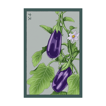 Eggplant seed packet - Shido Seeds non-GMO vacuum-sealed woodblock design