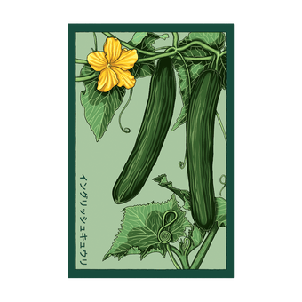 English Cucumber seed packet - Shido Seeds non-GMO vacuum-sealed woodblock design