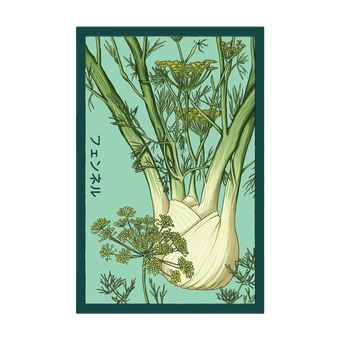 Fennel seed packet - Shido Seeds non-GMO vacuum-sealed woodblock design