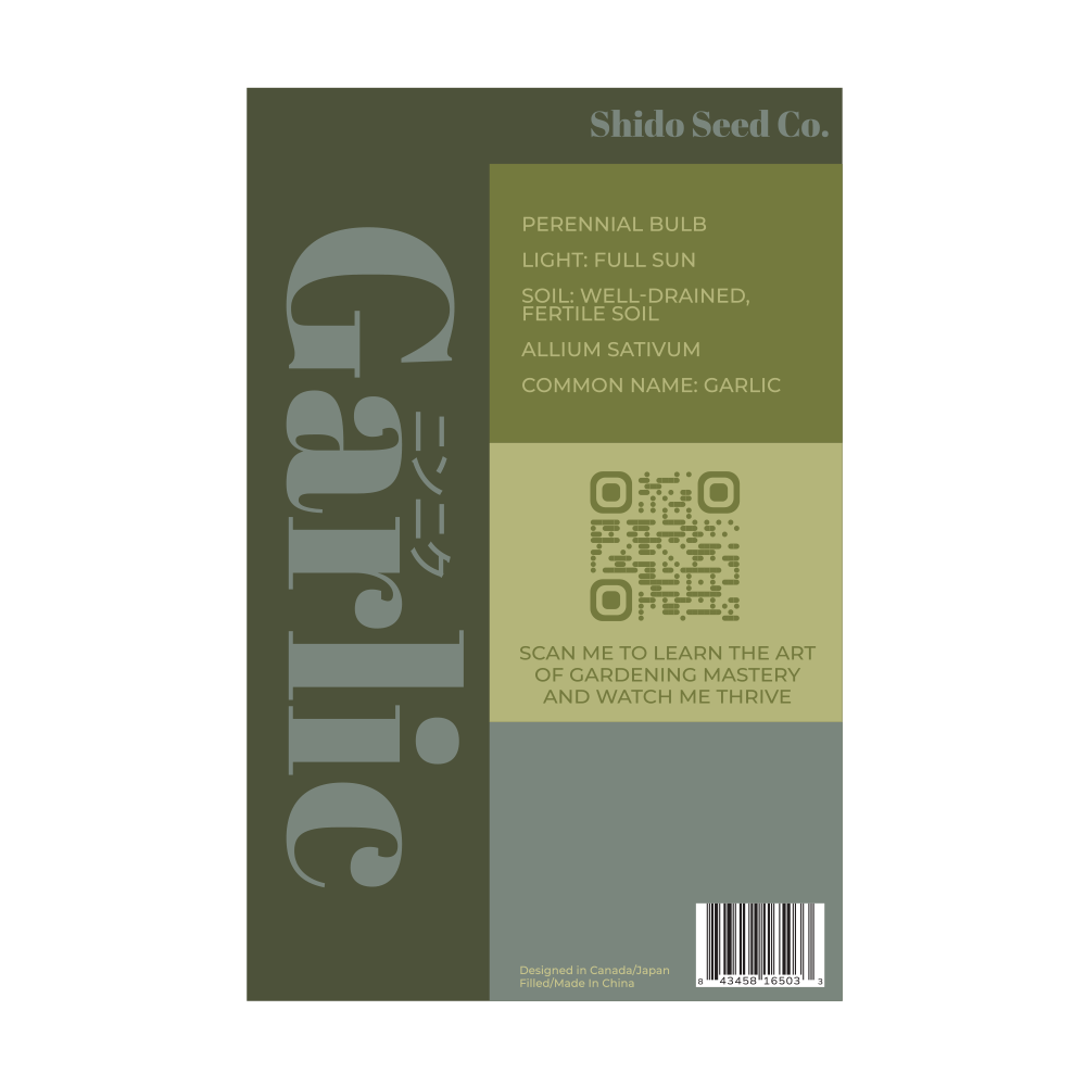 Garlic Vegetable Seeds Packet - Chive Ceramics Studio - Seeds - Chive Ceramics Studio