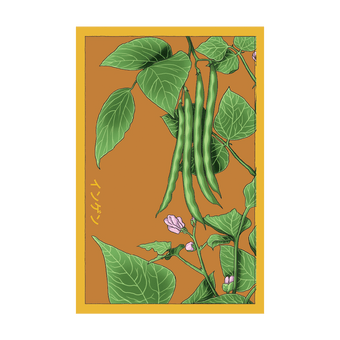 Green Beans seed packet - Shido Seeds non-GMO vacuum-sealed woodblock design