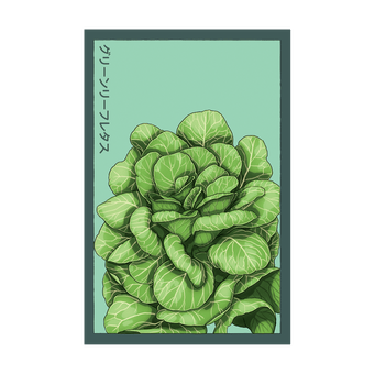 Green Leaf Lettuce seed packet - Shido Seeds non-GMO vacuum-sealed woodblock design