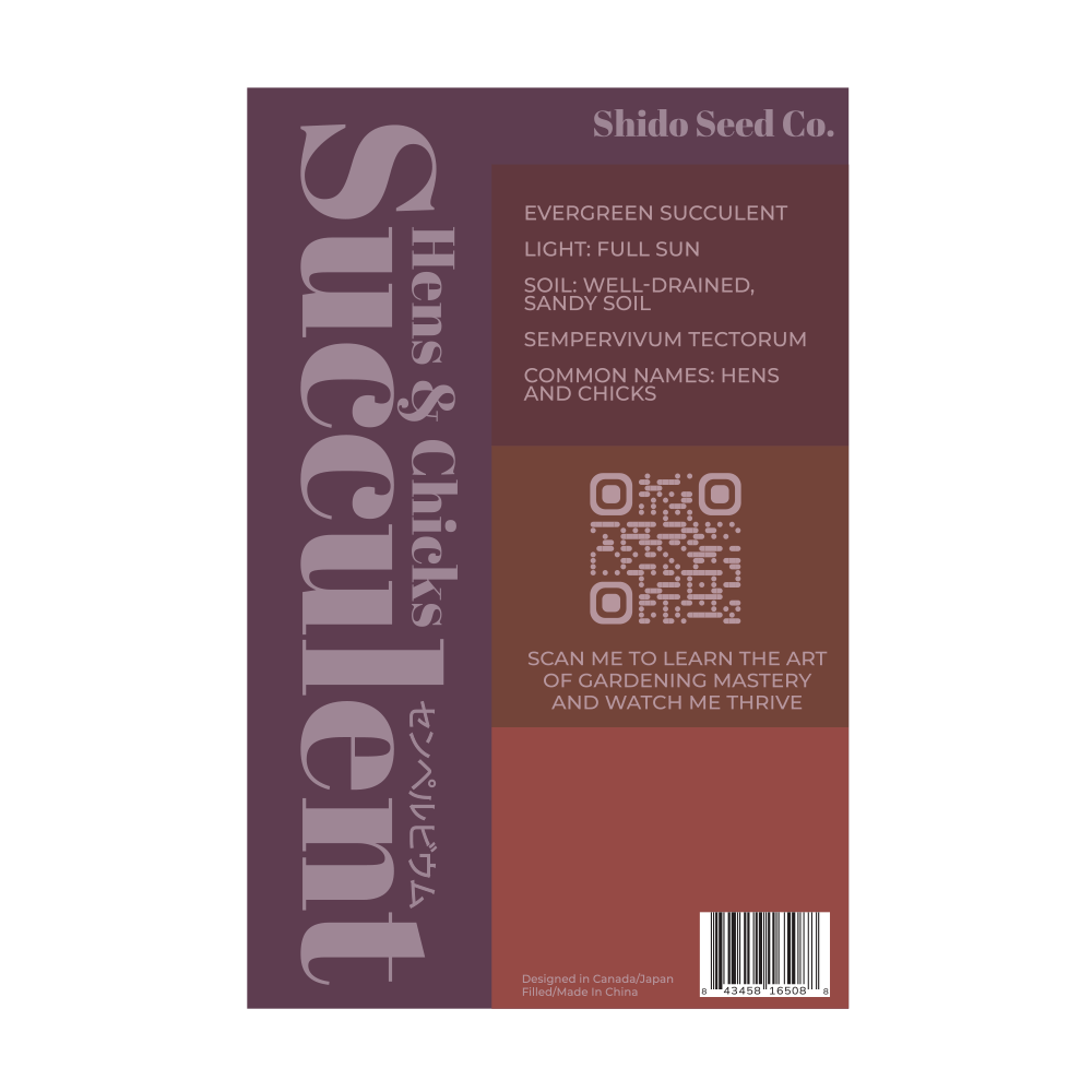 Hens and Chicks Succulent Indoor Seeds Packet - Chive Ceramics Studio - Seeds - Chive Ceramics Studio