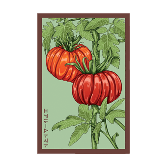 Heirloom Tomato seed packet - Shido Seeds non-GMO vacuum-sealed woodblock design