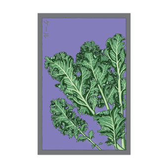 Kale seed packet - Shido Seeds non-GMO vacuum-sealed woodblock design