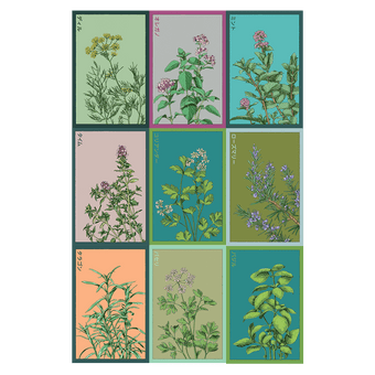 Herbs Seed Bundle 12pc - Shido Seeds non-GMO vacuum-sealed woodblock design