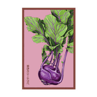 Kohlrabi Purple Delicacy seed packet - Shido Seeds non-GMO woodblock design