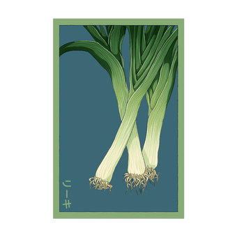 Leek seed packet - Shido Seeds non-GMO vacuum-sealed woodblock design