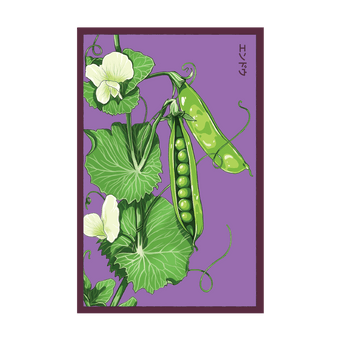 Little Marvel Peas seed packet - Shido Seeds non-GMO vacuum-sealed woodblock design