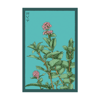 Mint Herb seed packet - Shido Seeds non-GMO vacuum-sealed woodblock design