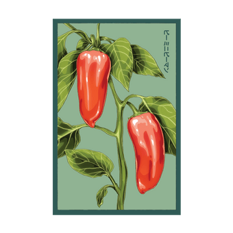 Mini Sweet Peppers vacuum-sealed seed packet - Shido Seeds non-GMO Japanese woodblock design