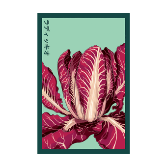 Radicchio seed packet - Shido Seeds non-GMO vacuum-sealed woodblock design