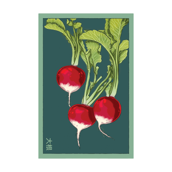 Radish seed packet - Shido Seeds non-GMO vacuum-sealed woodblock design