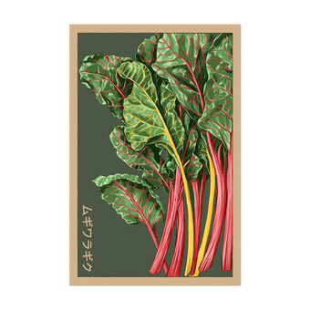 Rainbow Chard seed packet - Shido Seeds non-GMO vacuum-sealed woodblock design