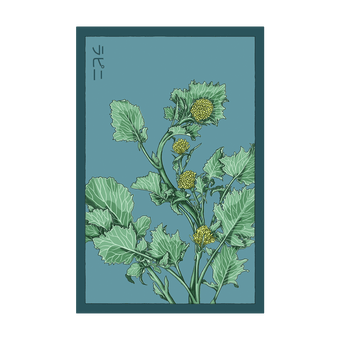Rapini seed packet - Shido Seeds non-GMO vacuum-sealed woodblock design