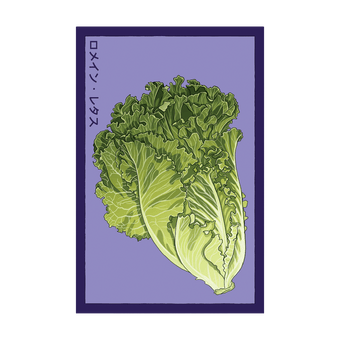 Romaine Lettuce seed packet - Shido Seeds non-GMO vacuum-sealed woodblock design